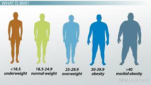 bmi relative sizes