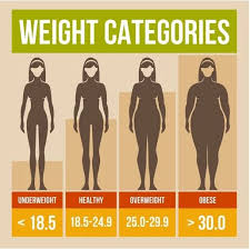 female bmi