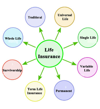 life insurance types