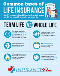 types of insurance