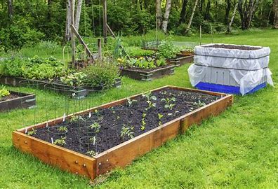 vegetable garden